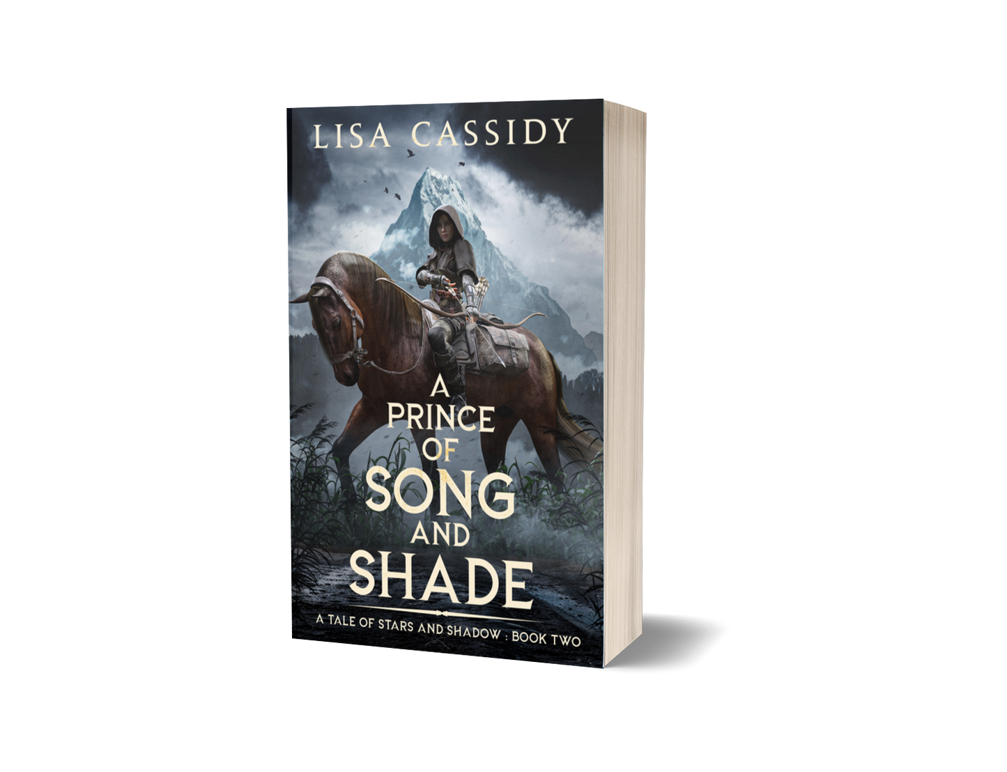 A Prince of Song and Shade paperback epic fantasy series
