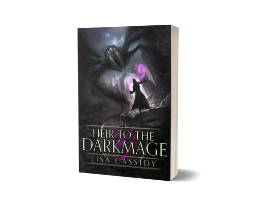 Heir to the Darkmage paperback young adult epic fantasy series
