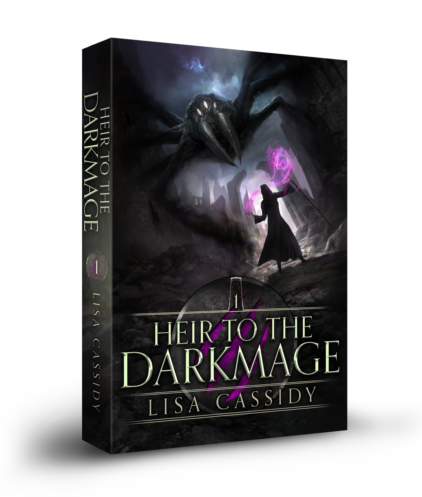 Heir to the Darkmage paperback young adult epic fantasy series