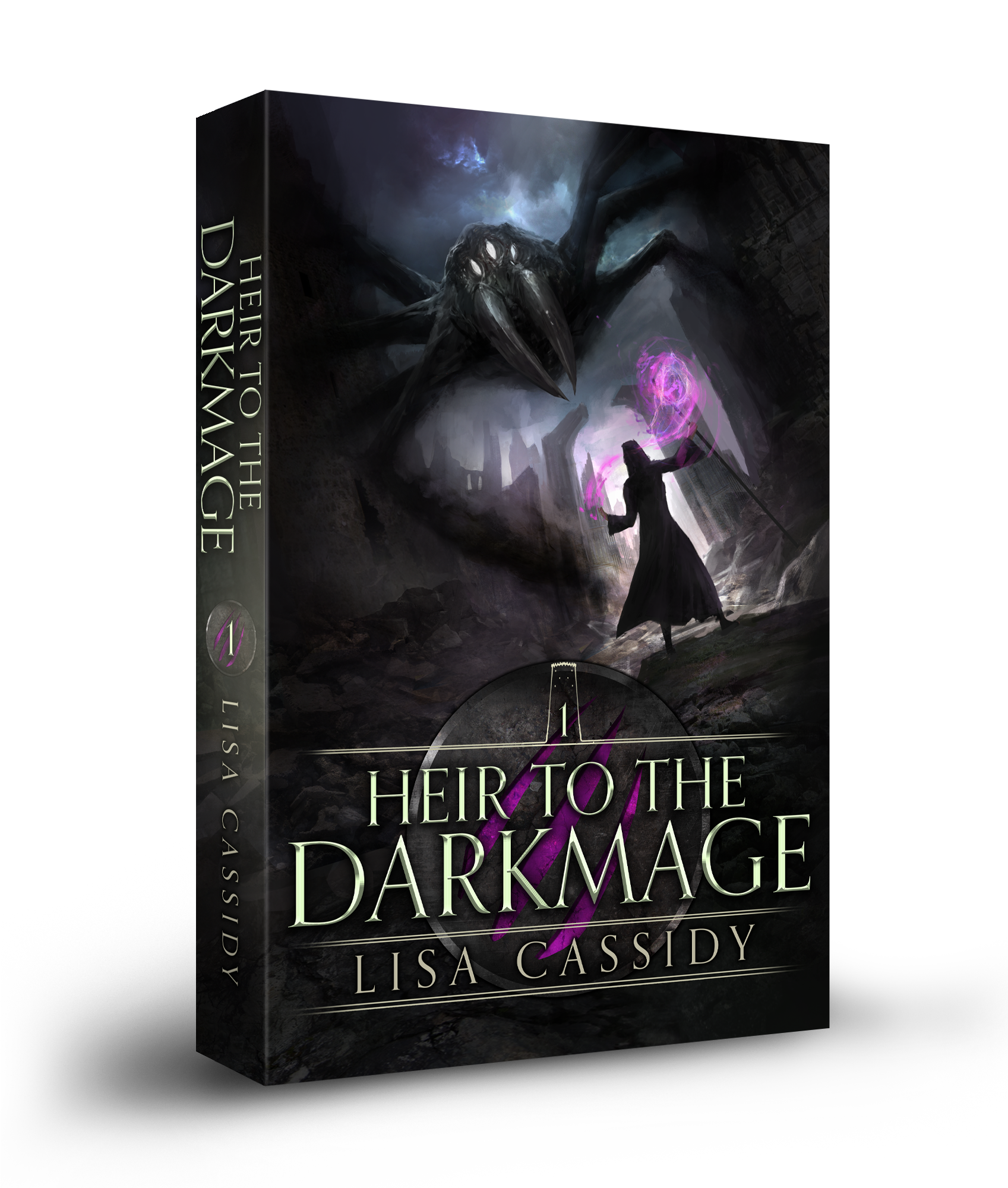 Heir to the Darkmage paperback young adult epic fantasy series