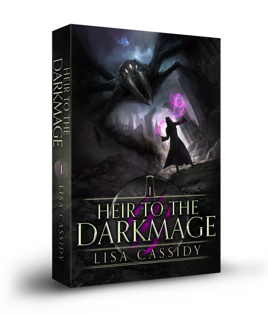 Heir to the Darkmage paperback young adult epic fantasy series